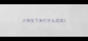 小狗生下来打什么疫苗