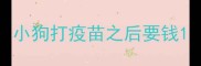 小狗打疫苗之后要钱