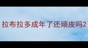拉布拉多成年了还顽皮吗