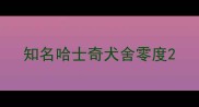 知名哈士奇犬舍零度