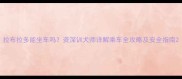 拉布拉多能坐车吗资深训犬师详解乘车全攻略及安全指南