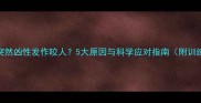 泰迪犬突然凶性发作咬人5大原因与科学应对指南附训练视频