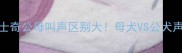 哈士奇公母叫声区别大母犬VS公犬声音全
