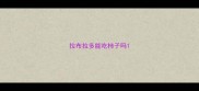 拉布拉多能吃柿子吗