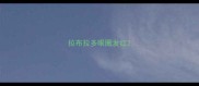 拉布拉多眼圈发红