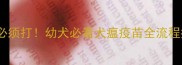 细小疫苗必须打幼犬必看犬瘟疫苗全流程指南