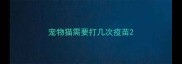 宠物猫需要打几次疫苗