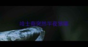 哈士奇突然半夜狼嚎