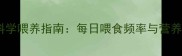金毛犬科学喂养指南每日喂食频率与营养配比全