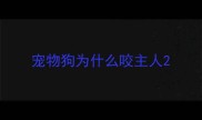 宠物狗为什么咬主人