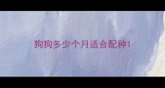 狗狗多少个月适合配种