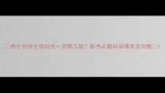 两个月哈士奇幼犬一天喂几顿新手必看科学喂养全攻略