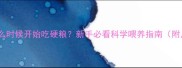边牧幼犬什么时候开始吃硬粮新手必看科学喂养指南附月龄过渡表