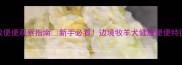 边牧便便观察指南新手必看边境牧羊犬健康便便特征全