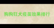 狗狗狂犬疫苗效果排行