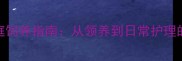哈士奇家庭饲养指南从领养到日常护理的全面攻略