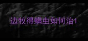 边牧得螨虫如何治