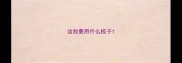 边牧要用什么梳子