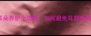 拉布拉多长耳朵养护全攻略如何避免耳部疾病与清洁技巧