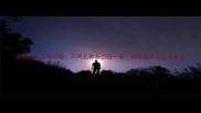 宠物蛇价格全攻略不同品种多少钱一条饲养成本及注意事项
