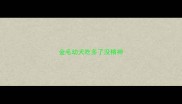 金毛幼犬吃多了没精神