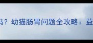 猫咪能吃婴儿益生菌吗幼猫肠胃问题全攻略益生菌选择与使用指南