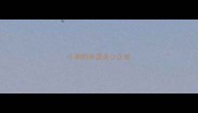 小狗的体温多少正常