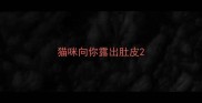 猫咪向你露出肚皮