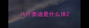 八斤泰迪是什么体