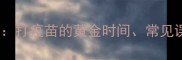 成猫疫苗必知指南打疫苗的黄金时间常见误区与科学护理全