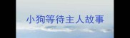 小狗等待主人故事