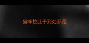 猫咪拉肚子到处都是