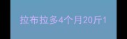 拉布拉多4个月20斤