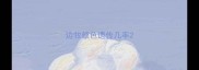边牧颜色遗传几率