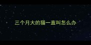 三个月大的猫一直叫怎么办
