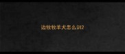 边牧牧羊犬怎么训