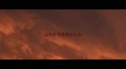 边牧怀孕便便怎么办