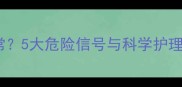 金毛幼犬呼吸频率异常5大危险信号与科学护理指南附兽医建议