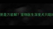 拉布拉多呕吐喝粥是万能解宠物医生深度犬只呕吐的7大处理方案