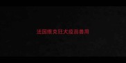 法国维克狂犬疫苗兽用