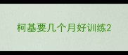 柯基要几个月好训练