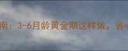 北京幼犬训练指南3-6月龄黄金期这样做省心养出聪明狗子