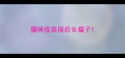 猫咪疫苗接后长瘤子