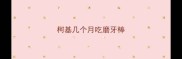 柯基几个月吃磨牙棒