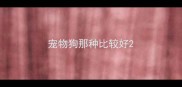 宠物狗那种比较好