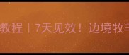 边牧如厕训练保姆级教程7天见效边境牧羊犬拉屎撒尿全攻略