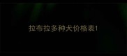 拉布拉多种犬价格表