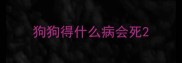 狗狗得什么病会死