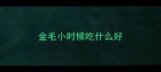 金毛小时候吃什么好