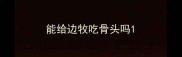 能给边牧吃骨头吗